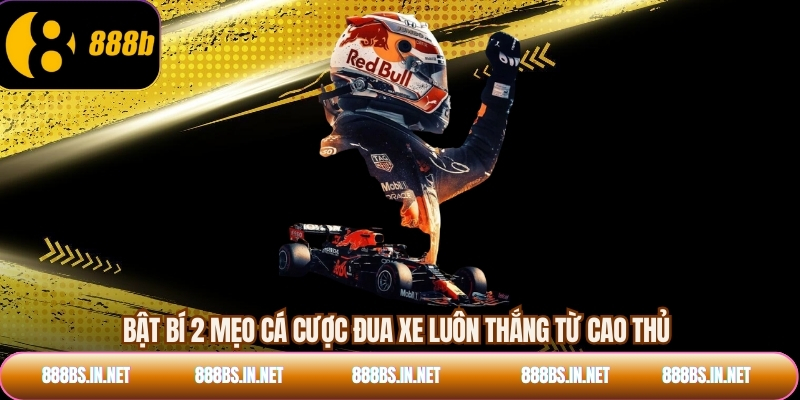 Bật bí 2 mẹo cá cược đua xe luôn thắng từ cao thủ