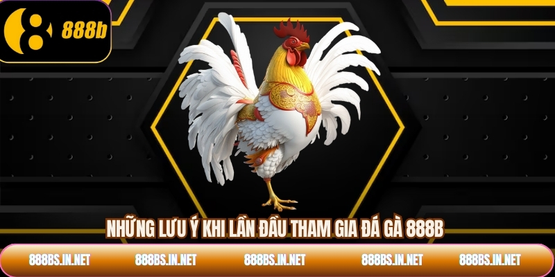 Những lưu ý khi lần đầu tham gia đá gà 888B