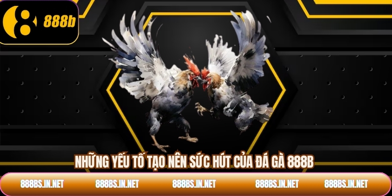 Những yếu tố tạo nên sức hút của đá gà 888B