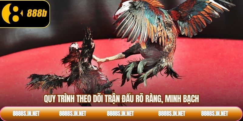 Quy trình theo dõi trận đấu rõ ràng, minh bạch
