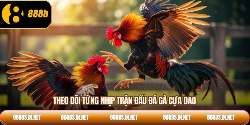 Theo dõi từng nhịp trận đấu đá gà cựa dao
