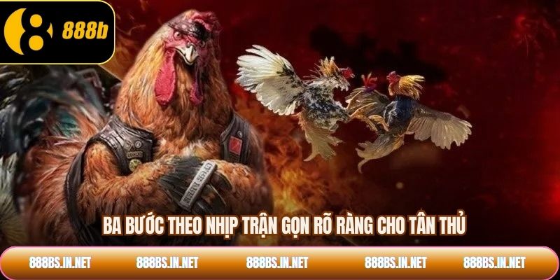 Ba bước theo nhịp trận gọn rõ ràng cho tân thủ