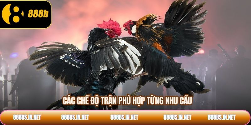 Các chế độ trận phù hợp từng nhu cầu