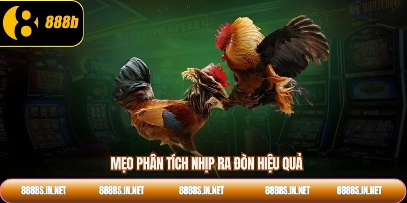 Mẹo phân tích nhịp ra đòn hiệu quả