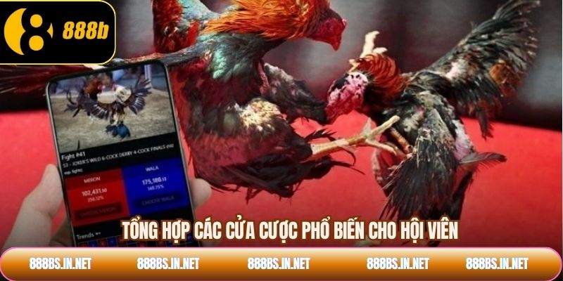 Tổng hợp các cửa cược phổ biến cho hội viên