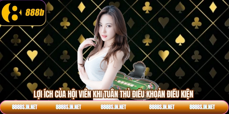 Lợi ích của hội viên khi tuân thủ điều khoản điều kiện