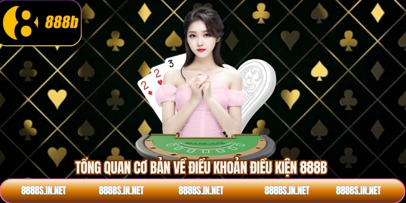 Tổng quan cơ bản về điều khoản điều kiện 888B
