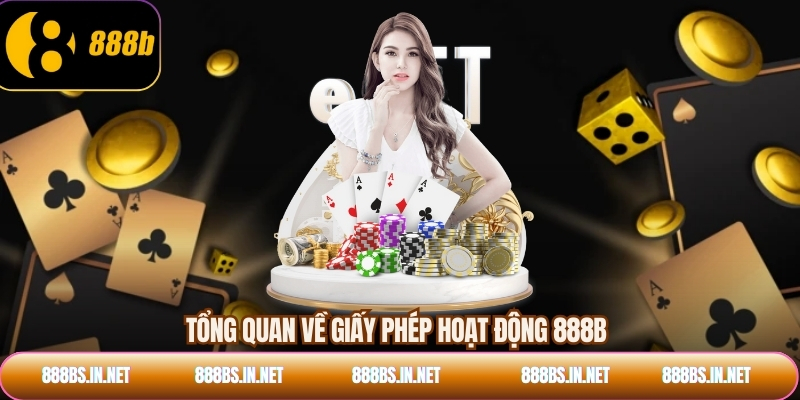 Tổng quan về giấy phép hoạt động 888B