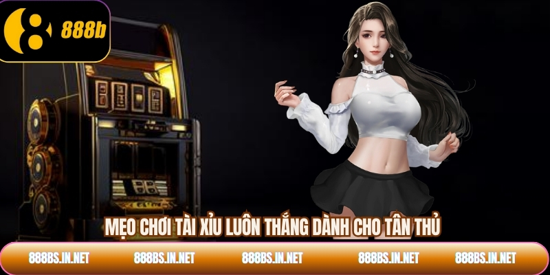 Mẹo chơi tài xỉu luôn thắng dành cho tân thủ