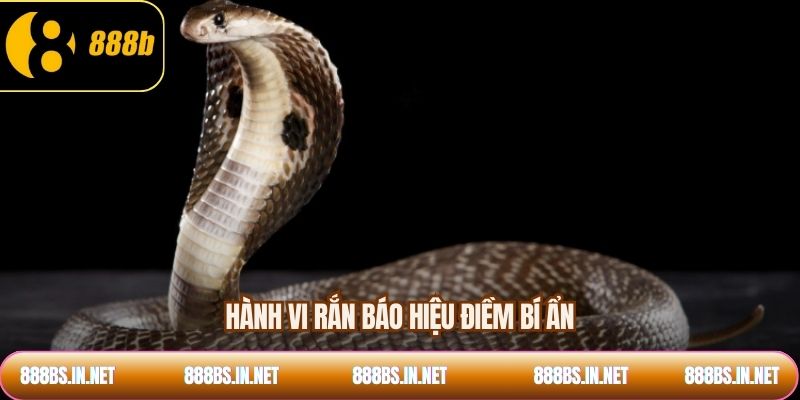 Hành vi rắn báo hiệu điềm bí ẩn