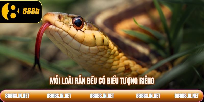 Mỗi loài rắn đều có biểu tượng riêng