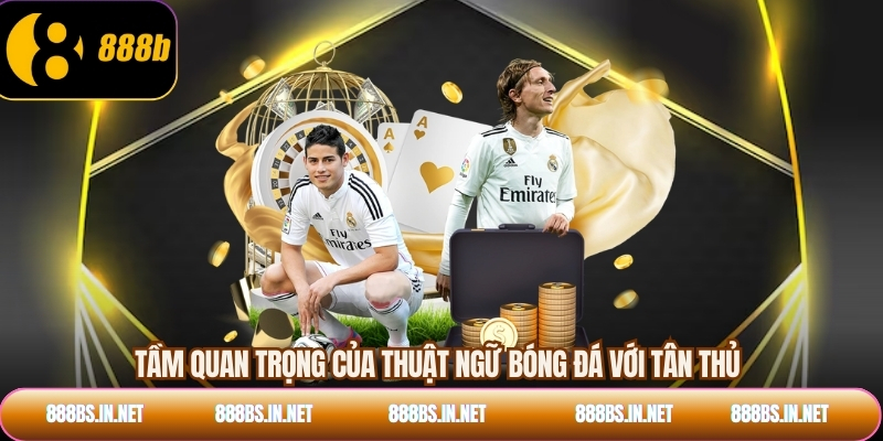 Tầm quan trọng của thuật ngữ bóng đá với tân thủ