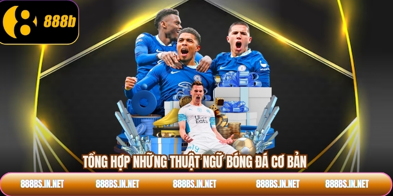 Tổng hợp những thuật ngữ bóng đá cơ bản
